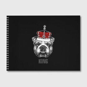 Альбом для рисования с принтом Английский бульдог с короной , 100% бумага
 | матовая бумага, плотность 200 мг. | animals | authority | breed | bulldog | cool | crown | dog | english | fighting | head | illustration | inscription | king | muzzle | supreme | swag | авторитет | английский | бойцовый | бульдог | верховный | голова | животные | иллюстрация | король | кор
