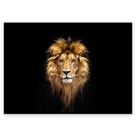 Поздравительная открытка с принтом Лев , 100% бумага | плотность бумаги 280 г/м2, матовая, на обратной стороне линовка и место для марки
 | african | animals | authority | big | cat | cool | head | illustration | indisputable | lion | mane | muzzle | supreme | swag | авторитет | африканский | большая | верховный | голова | грива | животные | иллюстрация | кошка | крутой | лев | непрер