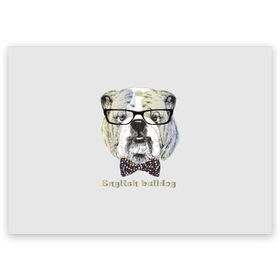 Поздравительная открытка с принтом Английский бульдог , 100% бумага | плотность бумаги 280 г/м2, матовая, на обратной стороне линовка и место для марки
 | animals | breed | bulldog | butterfly | dog | english | fight | gentleman | head | illustration | inscription | muzzle | tie | английский | бабочка | бойцовый | бульдог | галстук | голова | джентльмен | животные | иллюстрация | надпись |