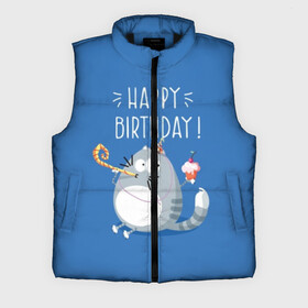 Мужской жилет утепленный 3D с принтом Happy birthday ,  |  | berry | birthday | cake | cap | cat | cherry | gray | holds | holiday | inscription | party | sits | striped | sweetness | вечеринка | вишня | день рождения | держит | колпак | кот | надпись | пирожное | полосатый | праздник | серый | сидит | сладость | я