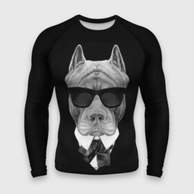 Мужской рашгард 3D с принтом Питбуль ,  |  | animals | black | black and white | cool | dog | fight | gentleman | head | illustration | pitbull | swag | white | авторитет | белая | бойцовый | галстук бабочка | голова | джентльмен | животные | иллюстрация | костюм | крутой | очки | 