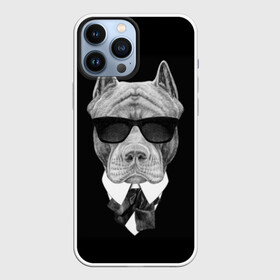 Чехол для iPhone 13 Pro Max с принтом Питбуль ,  |  | Тематика изображения на принте: animals | black | black and white | cool | dog | fight | gentleman | head | illustration | pitbull | swag | white | авторитет | белая | бойцовый | галстук бабочка | голова | джентльмен | животные | иллюстрация | костюм | крутой | очки | 