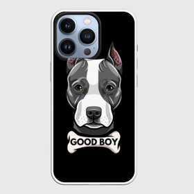 Чехол для iPhone 13 Pro с принтом Стаффордширский терьер ,  |  | animal | bone | breed | dog | fight | head | inscription | look | muzzle | staffordshire | terrier | бойцовая | взгляд | голова | животное | кость | надпись | порода | собака | стаффордширский | терьер
