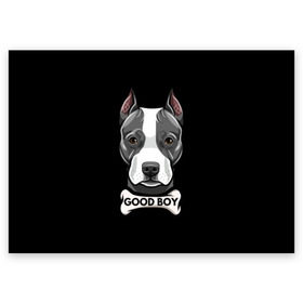 Поздравительная открытка с принтом Стаффордширский терьер , 100% бумага | плотность бумаги 280 г/м2, матовая, на обратной стороне линовка и место для марки
 | animal | bone | breed | dog | fight | head | inscription | look | muzzle | staffordshire | terrier | бойцовая | взгляд | голова | животное | кость | надпись | порода | собака | стаффордширский | терьер