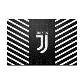 Пазл магнитный 126 элементов с принтом JUVENTUS SPORT , полимерный материал с магнитным слоем | 126 деталей, размер изделия —  180*270 мм | cr7 | fc | football | football club | juve | juventus | ronaldo | sport | роналдо | спорт | спортивные | униформа | фирменные цвета | фк | футбол | футбольный клуб | ювентус