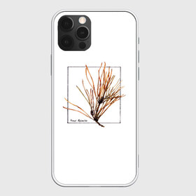 Чехол для iPhone 12 Pro Max с принтом Pinus Sylvestris , Силикон |  | Тематика изображения на принте: абстракция | авторская работа | ботаническая иллюстрация | деревья | иллюстрации | минимализм | сосна | цветы
