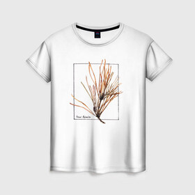 Женская футболка 3D с принтом Pinus Sylvestris , 100% полиэфир ( синтетическое хлопкоподобное полотно) | прямой крой, круглый вырез горловины, длина до линии бедер | абстракция | авторская работа | ботаническая иллюстрация | деревья | иллюстрации | минимализм | сосна | цветы