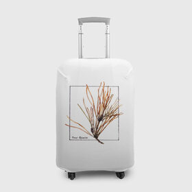 Чехол для чемодана 3D с принтом Pinus Sylvestris , 86% полиэфир, 14% спандекс | двустороннее нанесение принта, прорези для ручек и колес | Тематика изображения на принте: абстракция | авторская работа | ботаническая иллюстрация | деревья | иллюстрации | минимализм | сосна | цветы