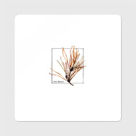 Магнит виниловый Квадрат с принтом Pinus Sylvestris , полимерный материал с магнитным слоем | размер 9*9 см, закругленные углы | Тематика изображения на принте: абстракция | авторская работа | ботаническая иллюстрация | деревья | иллюстрации | минимализм | сосна | цветы