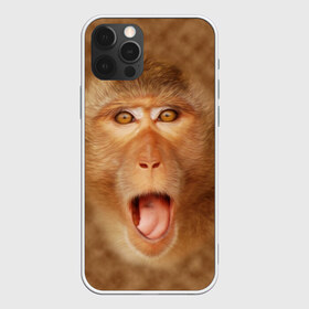 Чехол для iPhone 12 Pro Max с принтом Обезьяна , Силикон |  | Тематика изображения на принте: голова | животные | мартышка | мордочка | обезьяна | открытый | прикол | природа | рот | юмор