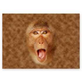 Поздравительная открытка с принтом Обезьяна , 100% бумага | плотность бумаги 280 г/м2, матовая, на обратной стороне линовка и место для марки
 | голова | животные | мартышка | мордочка | обезьяна | открытый | прикол | природа | рот | юмор
