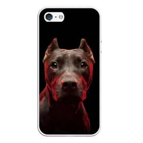 Чехол для iPhone 5/5S матовый с принтом Стафф , Силикон | Область печати: задняя сторона чехла, без боковых панелей | амстафф | голова | животные | мордочка | природа | собака | стафф | стаффордширский терьер