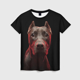 Женская футболка 3D с принтом Стафф , 100% полиэфир ( синтетическое хлопкоподобное полотно) | прямой крой, круглый вырез горловины, длина до линии бедер | амстафф | голова | животные | мордочка | природа | собака | стафф | стаффордширский терьер