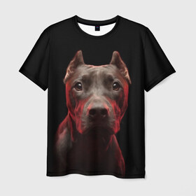 Мужская футболка 3D с принтом Стафф , 100% полиэфир | прямой крой, круглый вырез горловины, длина до линии бедер | амстафф | голова | животные | мордочка | природа | собака | стафф | стаффордширский терьер