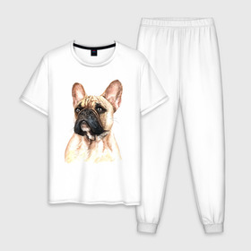 Мужская пижама хлопок с принтом Французский бульдог , 100% хлопок | брюки и футболка прямого кроя, без карманов, на брюках мягкая резинка на поясе и по низу штанин
 | bulldog | dog | бульдог | собака | собаки | французский бульдог