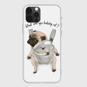 Чехол для iPhone 12 Pro Max с принтом Мопс в рюкзаке , Силикон |  | background | backpack | breed | brown | color | cute | dog | funny | gray | look | muzzle | paws | pug | puppy | slogan | small | trace | white | белый | взгляд | коричневый | лапы | маленький | милый | мопс | пес | порода | прикольный | рюкзак | 