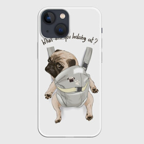 Чехол для iPhone 13 mini с принтом Мопс в рюкзаке ,  |  | background | backpack | breed | brown | color | cute | dog | funny | gray | look | muzzle | paws | pug | puppy | slogan | small | trace | white | белый | взгляд | коричневый | лапы | маленький | милый | мопс | пес | порода | прикольный | рюкзак | 