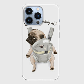 Чехол для iPhone 13 Pro с принтом Мопс в рюкзаке ,  |  | background | backpack | breed | brown | color | cute | dog | funny | gray | look | muzzle | paws | pug | puppy | slogan | small | trace | white | белый | взгляд | коричневый | лапы | маленький | милый | мопс | пес | порода | прикольный | рюкзак | 