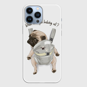 Чехол для iPhone 13 Pro Max с принтом Мопс в рюкзаке ,  |  | background | backpack | breed | brown | color | cute | dog | funny | gray | look | muzzle | paws | pug | puppy | slogan | small | trace | white | белый | взгляд | коричневый | лапы | маленький | милый | мопс | пес | порода | прикольный | рюкзак | 