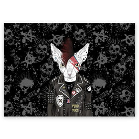 Поздравительная открытка с принтом Кот в косухе , 100% бумага | плотность бумаги 280 г/м2, матовая, на обратной стороне линовка и место для марки
 | anarchy | breed | cat | clothes | cool | hairstyle | icon | jacket | kote | mohawk | muzzle | piercing | punk | riveting | rock | skull | sphinx | spikes | tattoo | анархия | значок | ирокез | к | клепки | кот | котик | котэ | круто | куртка | оде