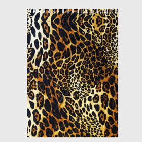Скетчбук с принтом Шкура леопарда , 100% бумага
 | 48 листов, плотность листов — 100 г/м2, плотность картонной обложки — 250 г/м2. Листы скреплены сверху удобной пружинной спиралью | animal | cheeky | dangerous | leopard | nature | pattern | predator | skin | spots | wild | дерзкий | дикий | животное | леопард | опасный | природа | пятна | узор | хищник