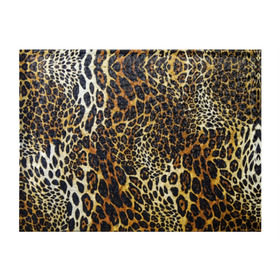 Обложка для студенческого билета с принтом Шкура леопарда , натуральная кожа | Размер: 11*8 см; Печать на всей внешней стороне | animal | cheeky | dangerous | leopard | nature | pattern | predator | skin | spots | wild | дерзкий | дикий | животное | леопард | опасный | природа | пятна | узор | хищник