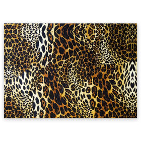 Поздравительная открытка с принтом Шкура леопарда , 100% бумага | плотность бумаги 280 г/м2, матовая, на обратной стороне линовка и место для марки
 | Тематика изображения на принте: animal | cheeky | dangerous | leopard | nature | pattern | predator | skin | spots | wild | дерзкий | дикий | животное | леопард | опасный | природа | пятна | узор | хищник