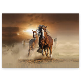 Поздравительная открытка с принтом Бегущие лошади , 100% бумага | плотность бумаги 280 г/м2, матовая, на обратной стороне линовка и место для марки
 | animal | color | dust | hooves | horse | mane | mustang | muzzle | nature | sky | speed | грива | животное | конь | копыта | лошадь | мустанг | небо | окрас | природа | пыль | скакун | скорость