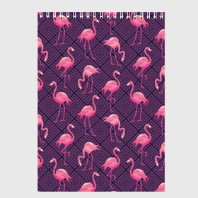 Скетчбук с принтом Фламинго , 100% бумага
 | 48 листов, плотность листов — 100 г/м2, плотность картонной обложки — 250 г/м2. Листы скреплены сверху удобной пружинной спиралью | Тематика изображения на принте: abstraction | beak | bird | fauna | feathers | flamingo | flora | geometry | happiness | nature | pink | purple | tropical | tropics | абстракция | геометрия | клюв | перья | природа | птица | розовый | счастье | тропики | тропический | фауна | фиолетовый