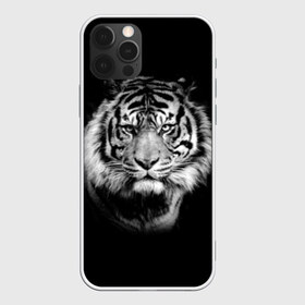 Чехол для iPhone 12 Pro Max с принтом Тигр , Силикон |  | animal | beautiful | black | cool | fangs | fauna | mustache | muzzle | nature | photo | predator | striped | tiger | view | white | wild | wool | белый | взгляд | дикий | животное | клыки | красивый | круто | полосатый | природа | тигр | усы | фа