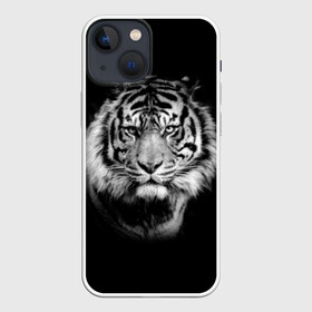 Чехол для iPhone 13 mini с принтом Тигр ,  |  | animal | beautiful | black | cool | fangs | fauna | mustache | muzzle | nature | photo | predator | striped | tiger | view | white | wild | wool | белый | взгляд | дикий | животное | клыки | красивый | круто | полосатый | природа | тигр | усы | фа