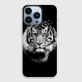 Чехол для iPhone 13 Pro с принтом Тигр ,  |  | Тематика изображения на принте: animal | beautiful | black | cool | fangs | fauna | mustache | muzzle | nature | photo | predator | striped | tiger | view | white | wild | wool | белый | взгляд | дикий | животное | клыки | красивый | круто | полосатый | природа | тигр | усы | фа