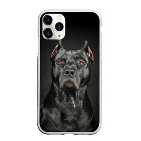 Чехол для iPhone 11 Pro матовый с принтом Питбуль , Силикон |  | animal | black | breed | bull | combat | dog | ears | eyes | image | muzzle | nose | pit bull | portrait | боевой | бугай | глаза | животное | изображение | нос | пес | питбуль | порода | портрет | псина | собака | уши | черный