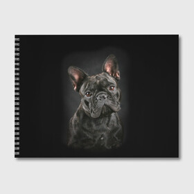 Альбом для рисования с принтом Французский бульдог , 100% бумага
 | матовая бумага, плотность 200 мг. | Тематика изображения на принте: animal | background | beast | black | breed | bulldog | cool | cute | dog | ears | french | jaw | look | muzzle | portrait | wool | бульдог | взгляд | животное | зверь | милый | пёс | порода | портрет | прикольно | псина | собака | уши | фон | фра