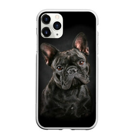 Чехол для iPhone 11 Pro матовый с принтом Французский бульдог , Силикон |  | animal | background | beast | black | breed | bulldog | cool | cute | dog | ears | french | jaw | look | muzzle | portrait | wool | бульдог | взгляд | животное | зверь | милый | пёс | порода | портрет | прикольно | псина | собака | уши | фон | фра
