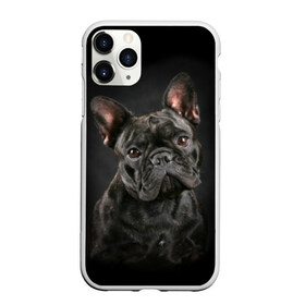 Чехол для iPhone 11 Pro Max матовый с принтом Французский бульдог , Силикон |  | animal | background | beast | black | breed | bulldog | cool | cute | dog | ears | french | jaw | look | muzzle | portrait | wool | бульдог | взгляд | животное | зверь | милый | пёс | порода | портрет | прикольно | псина | собака | уши | фон | фра