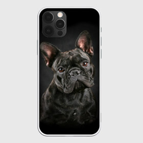 Чехол для iPhone 12 Pro Max с принтом Французский бульдог , Силикон |  | animal | background | beast | black | breed | bulldog | cool | cute | dog | ears | french | jaw | look | muzzle | portrait | wool | бульдог | взгляд | животное | зверь | милый | пёс | порода | портрет | прикольно | псина | собака | уши | фон | фра