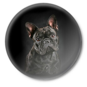 Значок с принтом Французский бульдог ,  металл | круглая форма, металлическая застежка в виде булавки | animal | background | beast | black | breed | bulldog | cool | cute | dog | ears | french | jaw | look | muzzle | portrait | wool | бульдог | взгляд | животное | зверь | милый | пёс | порода | портрет | прикольно | псина | собака | уши | фон | фра