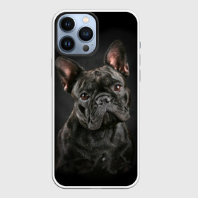 Чехол для iPhone 13 Pro Max с принтом Французский бульдог ,  |  | animal | background | beast | black | breed | bulldog | cool | cute | dog | ears | french | jaw | look | muzzle | portrait | wool | бульдог | взгляд | животное | зверь | милый | пёс | порода | портрет | прикольно | псина | собака | уши | фон | фра
