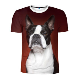 Мужская футболка 3D спортивная с принтом Французский бульдог , 100% полиэстер с улучшенными характеристиками | приталенный силуэт, круглая горловина, широкие плечи, сужается к линии бедра | Тематика изображения на принте: animal | background | beast | black | breed | bulldog | color | cool | cute | dog | e | jaw | look | muzzle | portrait | red | white | белый | бульдог | взгляд | животное | зверь | красный | милый | пёс | порода | портрет | прикольно | псина | соб