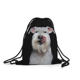 Рюкзак-мешок 3D с принтом Белый шнауцер , 100% полиэстер | плотность ткани — 200 г/м2, размер — 35 х 45 см; лямки — толстые шнурки, застежка на шнуровке, без карманов и подкладки | animal | background | beast | black | breed | cool | cute | dog | ears | fangs | jaw | look | muzzle | portrait | tongue | white | wool | белый | взгляд | животное | зверь | клыки | милый | пёс | порода | портрет | прикольно | псина | собака | уши