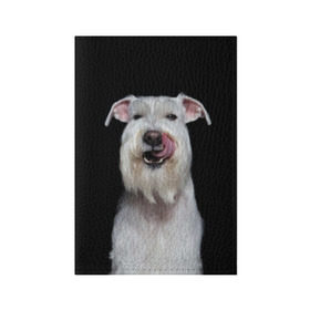 Обложка для паспорта матовая кожа с принтом Белый шнауцер , натуральная матовая кожа | размер 19,3 х 13,7 см; прозрачные пластиковые крепления | Тематика изображения на принте: animal | background | beast | black | breed | cool | cute | dog | ears | fangs | jaw | look | muzzle | portrait | tongue | white | wool | белый | взгляд | животное | зверь | клыки | милый | пёс | порода | портрет | прикольно | псина | собака | уши
