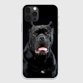 Чехол для iPhone 12 Pro с принтом Черный кан - корсо , силикон | область печати: задняя сторона чехла, без боковых панелей | animal | background | beast | black | breed | can   corso | cool | cute | dog | ears | fangs | jaw | look | muzzle | portrait | tongue | wool | взгляд | животное | зверь | кан   корсо | клыки | милый | пёс | порода | портрет | прикольно | псина | 