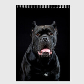 Скетчбук с принтом Черный кан - корсо , 100% бумага
 | 48 листов, плотность листов — 100 г/м2, плотность картонной обложки — 250 г/м2. Листы скреплены сверху удобной пружинной спиралью | Тематика изображения на принте: animal | background | beast | black | breed | can   corso | cool | cute | dog | ears | fangs | jaw | look | muzzle | portrait | tongue | wool | взгляд | животное | зверь | кан   корсо | клыки | милый | пёс | порода | портрет | прикольно | псина | 