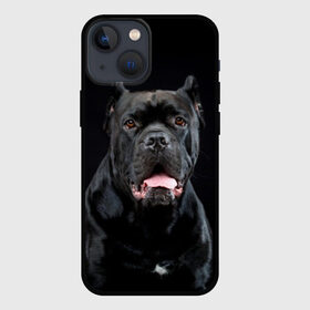 Чехол для iPhone 13 mini с принтом Черный кан   корсо ,  |  | animal | background | beast | black | breed | can   corso | cool | cute | dog | ears | fangs | jaw | look | muzzle | portrait | tongue | wool | взгляд | животное | зверь | кан   корсо | клыки | милый | пёс | порода | портрет | прикольно | псина | 