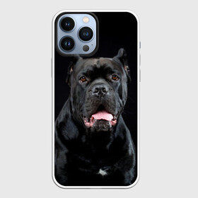 Чехол для iPhone 13 Pro Max с принтом Черный кан   корсо ,  |  | animal | background | beast | black | breed | can   corso | cool | cute | dog | ears | fangs | jaw | look | muzzle | portrait | tongue | wool | взгляд | животное | зверь | кан   корсо | клыки | милый | пёс | порода | портрет | прикольно | псина | 