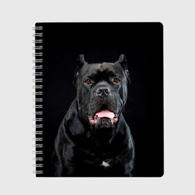 Тетрадь с принтом Черный кан - корсо , 100% бумага | 48 листов, плотность листов — 60 г/м2, плотность картонной обложки — 250 г/м2. Листы скреплены сбоку удобной пружинной спиралью. Уголки страниц и обложки скругленные. Цвет линий — светло-серый
 | Тематика изображения на принте: animal | background | beast | black | breed | can   corso | cool | cute | dog | ears | fangs | jaw | look | muzzle | portrait | tongue | wool | взгляд | животное | зверь | кан   корсо | клыки | милый | пёс | порода | портрет | прикольно | псина | 