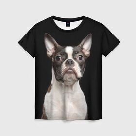 Женская футболка 3D с принтом Бостонский терьер , 100% полиэфир ( синтетическое хлопкоподобное полотно) | прямой крой, круглый вырез горловины, длина до линии бедер | Тематика изображения на принте: animal | background | beast | black | boston | breed | color | cool | cute | dog | ears | jaw | look | muzzle | pet | portrait | terrier | white | wool | белый | бостон | взгляд | животное | зверь | милый | пёс | питомец | порода | портрет | прико