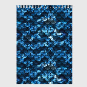 Скетчбук с принтом Синяя чешуя , 100% бумага
 | 48 листов, плотность листов — 100 г/м2, плотность картонной обложки — 250 г/м2. Листы скреплены сверху удобной пружинной спиралью | blue | color | fish | gray | mermaid | neyad | pattern | scales | sea | shiny | siren | skin | turquoise | wallpaper | water | бирюзовый | блестящий | вода | кожа | море | неяда | обои | паттерн | русалка | рыба | серый | синий | сирена | цвет |
