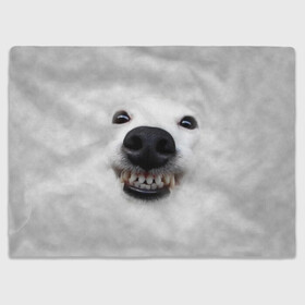 Плед 3D с принтом Собака - улыбака , 100% полиэстер | закругленные углы, все края обработаны. Ткань не мнется и не растягивается | животные | зубы | мордочка | пес | прикол | смешная | собака | улыбака | улыбка | щенок | юмор